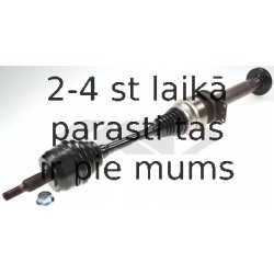 SPIDAN 24155