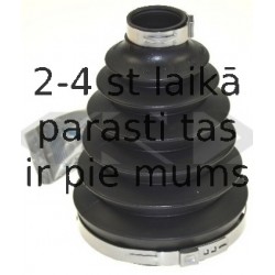 SPIDAN 24069