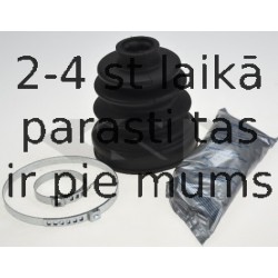 SPIDAN 23248