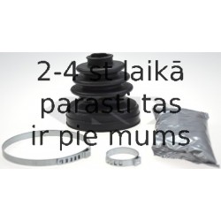 SPIDAN 23218