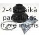 SPIDAN 23204