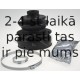 Putekļusargu komplekts, Piedziņas vārpsta SPIDAN 22426