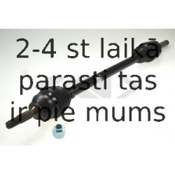 Piedziņas vārpsta SPIDAN 22112