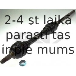 Piedziņas vārpsta SPIDAN 21730