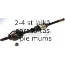SPIDAN 21616