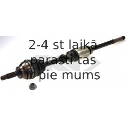 SPIDAN 21616