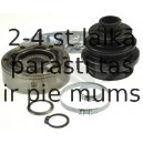 SPIDAN 21561