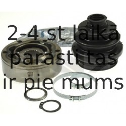 SPIDAN 21561