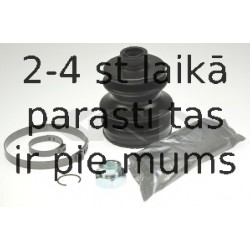 SPIDAN 21443