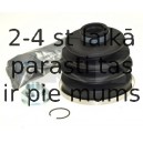 SPIDAN 21167