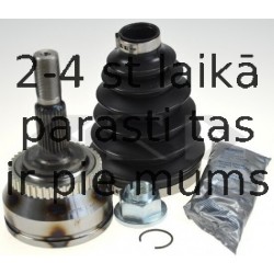 SPIDAN 20585