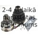 SPIDAN 20431