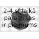 Кронштейн, подвеска двигателя SASIC 9002498