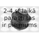 Кронштейн, подвеска двигателя SASIC 9002498