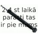 Amortizators SACHS 313 457