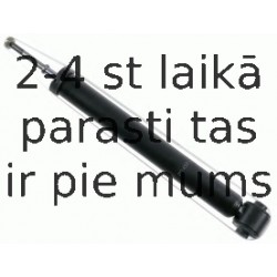 Amortizators SACHS 313 457