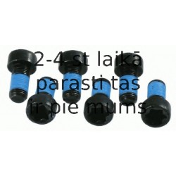 Skrūvju komplekts, Sajūgs SACHS 1874 000 028