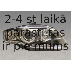 Pamatlukturis MAGNETI MARELLI 711307022675