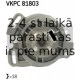 Ūdenssūknis SKF VKPC 81803