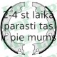 Bremžu loku kompl., Stāvbremze LPR 09750