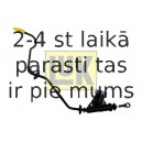 Galvenais cilindrs, Sajūgs LuK 511 0139 10