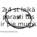 Trose, Sajūga pievads BLUE PRINT ADC43835