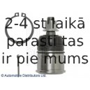 Balst-/Virzošais šarnīrs BLUE PRINT ADH28615