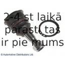 Balst-/Virzošais šarnīrs BLUE PRINT ADT386191