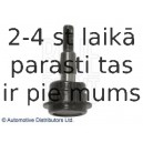 Balst-/Virzošais šarnīrs BLUE PRINT ADG086121