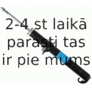 Amortizators SACHS 314 907