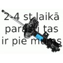 Amortizators SACHS 314 894