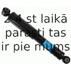 Amortizators SACHS 314 862