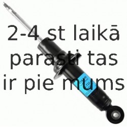 Amortizators SACHS 314 849