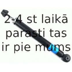 Amortizators SACHS 314 754