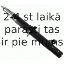 Amortizators SACHS 314 669