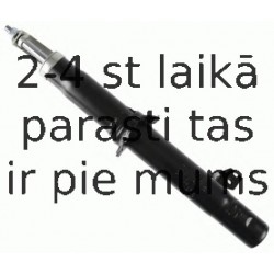 Amortizators SACHS 314 669