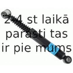 Amortizators SACHS 314 663