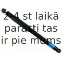 Amortizators SACHS 314 633