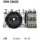 Spriegotājrullītis, Gāzu sadales mehānisma piedziņas siksna SKF VKM 18600