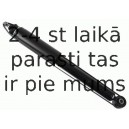 Amortizators SACHS 314 620