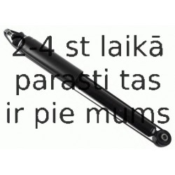 Amortizators SACHS 314 620