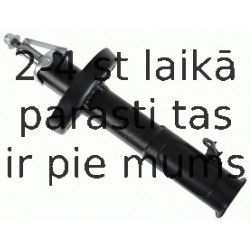 Amortizators SACHS 314 619