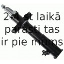 Amortizators SACHS 314 618