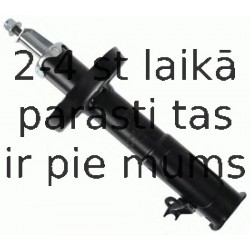 Amortizators SACHS 314 618