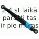 Amortizators SACHS 314 142