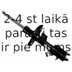 Amortizators SACHS 314 043