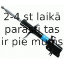 Amortizators SACHS 314 042