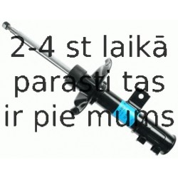 Amortizators SACHS 314 024