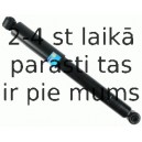 Amortizators SACHS 313 970