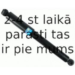 Amortizators SACHS 313 970